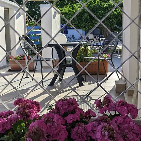 尼科迪默住宿加早餐旅馆 帕埃斯图姆 外观 照片